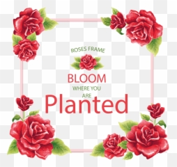 Download Com Floral Frame Vintage Flowers Red Roses - png