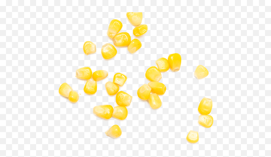 H1 - Cornpng U2013 Nukkad Usa Macro Photography,Candy Corn Png