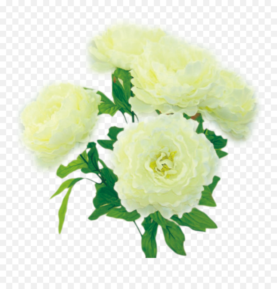 Colorfast Cream Peony Bush 30397cm - Artificial Flower Png,Lavendar Bush Icon