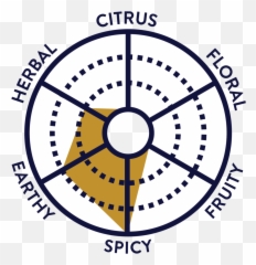 Our Kombucha Flavors Png Flavor Icon