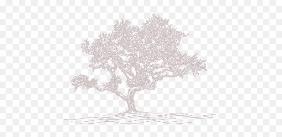 About The Oaks - The Oaks At Riveru0027s Edge Sketch Png,Oak Icon