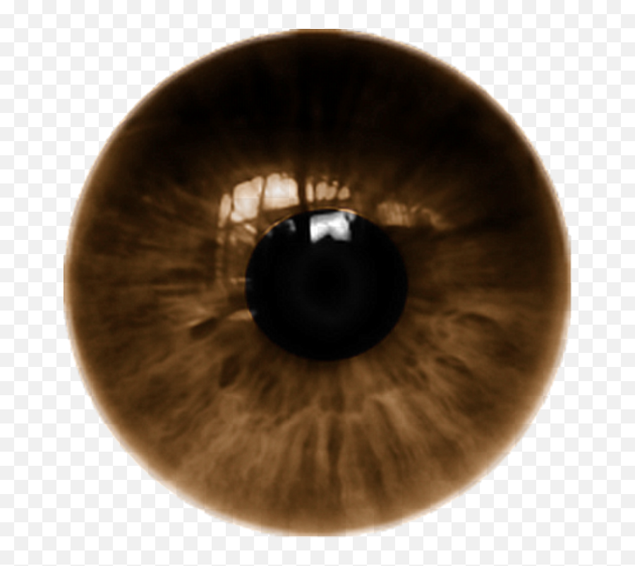Ojos Cafes Tumblr - Green Eyes Lens Png,Ojos Png