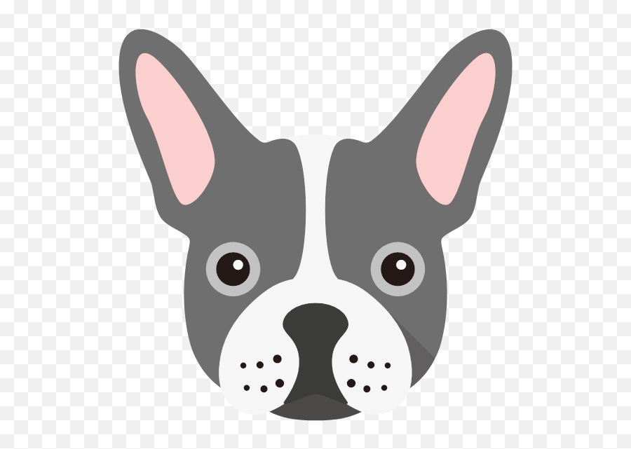 Personalized French Bulldog Bandanas Yappycom - Boston Terrier Png,Bull Dog Icon