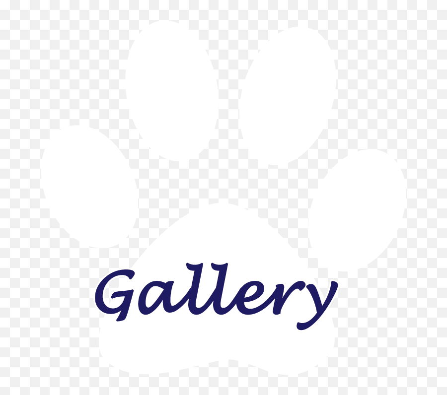 Cat Paws Png - Circle,Cat Paw Png