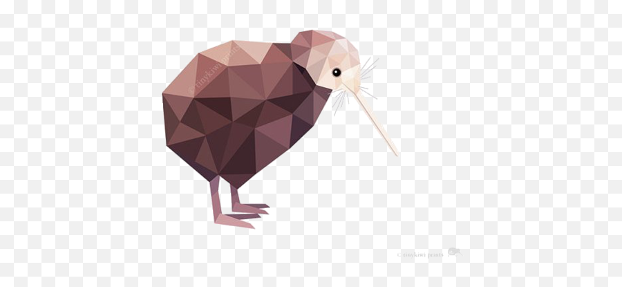 Kiwi - Geometric Print New Zealand Art Nz Art Animal Art Geometric Kiwi Bird Png,Kiwi Bird Png