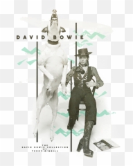 Download Terry O Neill David Bowie - Terry O Neill Png,Terry Crews Png