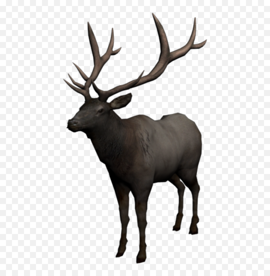 Elk - Clip Art Png,Elk Png