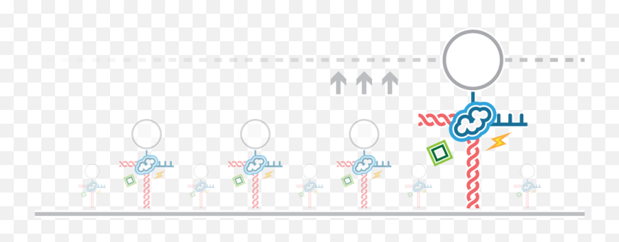 Study And Visualize Dna Replication Mechanisms With High - Screenshot Png,Molecules Png