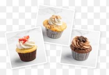 Oh My Cupcakes - Cupcake Png,Cupcakes Png