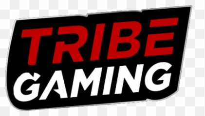 Filetribe Gaminglogo Aug 2017png - Vainglory Esports Wiki Solid,Vainglory Png