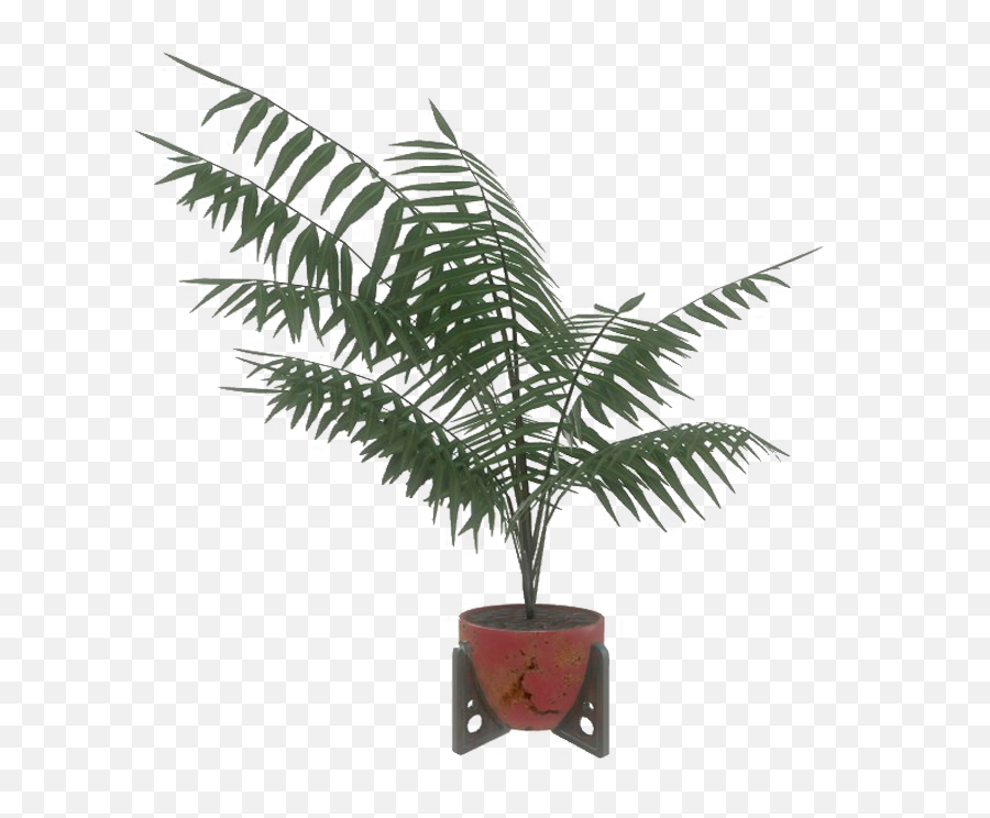 Potted Plant - Plan Potted Plants Fallout 76 Png,Potted Plants Png