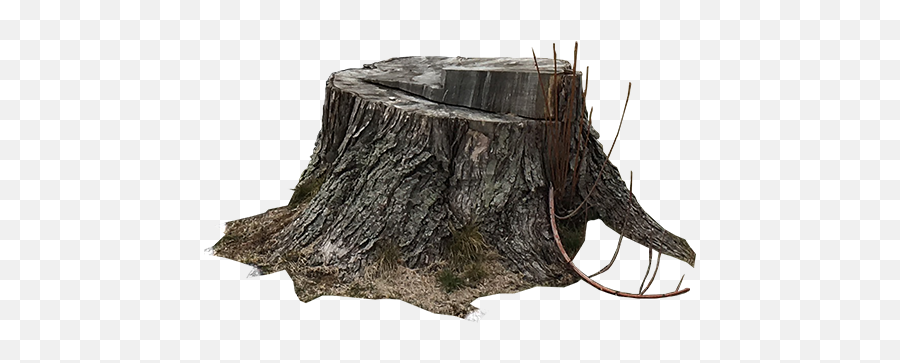 Download Tree Stump Png - Solid,Stump Png
