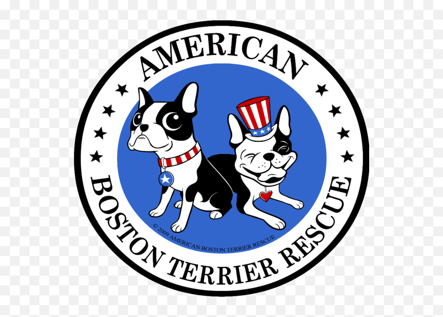 American Boston Terrier Rescue - Nonprofit Giving Platform Genba Sopanrao Moze College Of Pharmacy Png,Boston Terrier Png