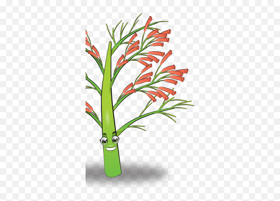 Fountainbush Skool4kidz Preschool U0026 Infant Care - Lilies Png,Fountain Grass Png