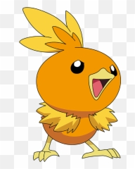 Pokemon - Transparent Torchic Png,Torchic Png