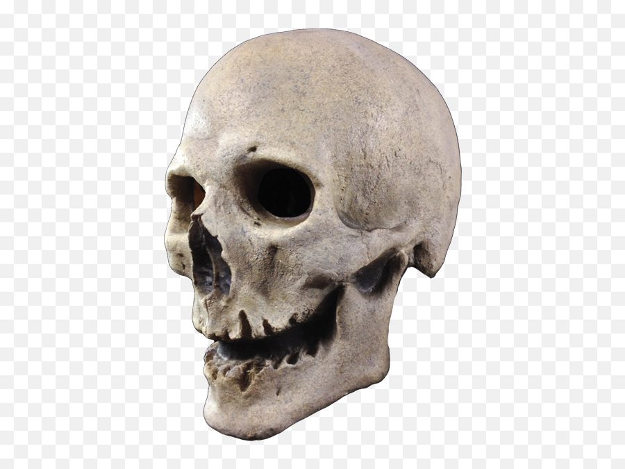 Mask Skeleton Skull Head For Halloween - 436x639 Creepy Png,Skull Mask Png