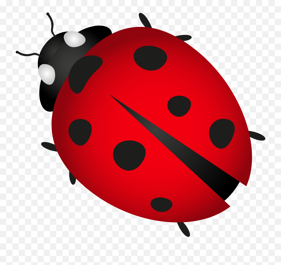 Bugs Ladybug Transparent Png Clipart - Lady Bugs Png,Bugs Png