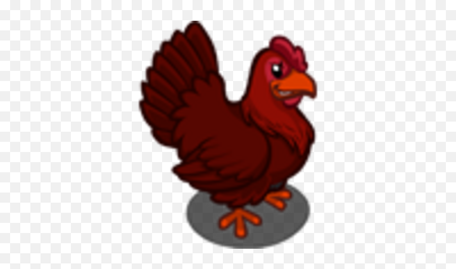 Dark Chicken Farmville Wiki Fandom - Rhode Island Red Png,Chicken Icon Png