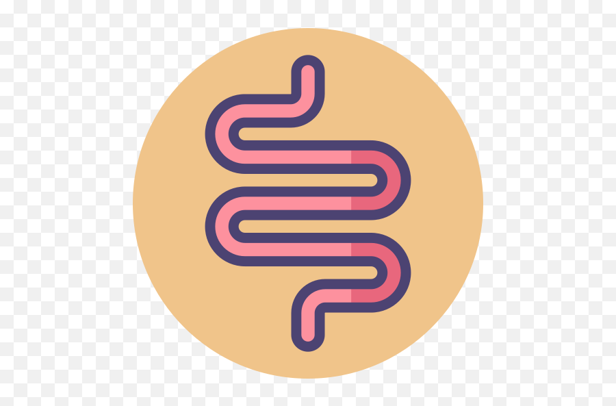Intestines - Vertical Png,Intestine Icon