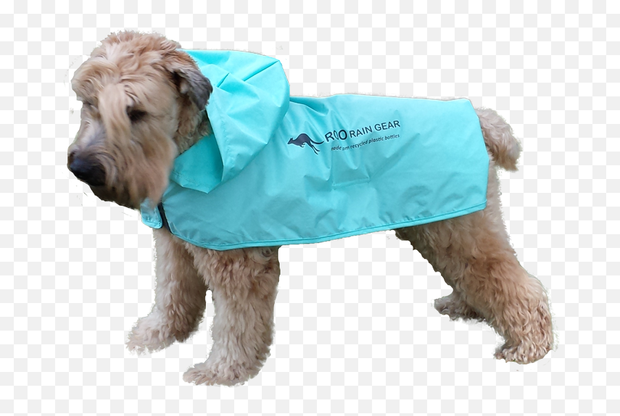 Funny Dog Products Roo Rain Gear - Dogs Wearing Ponchos Png,Funny Dog Png
