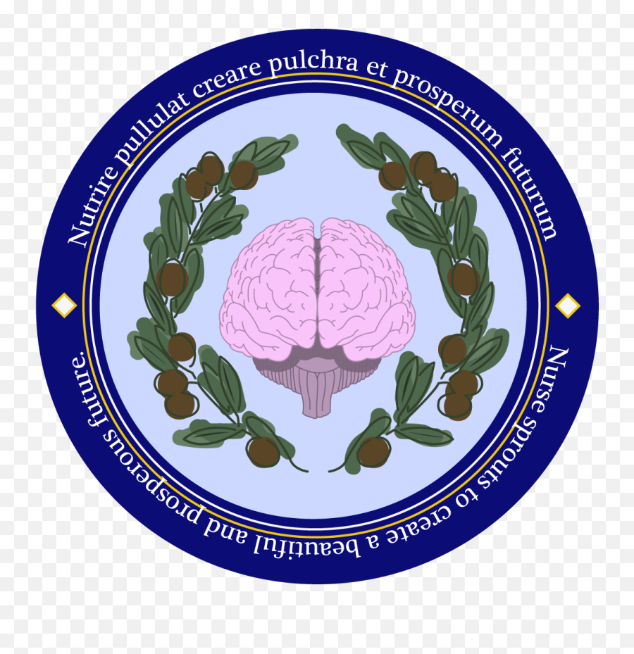 Theathenaproject - Brain Png,Athena Icon