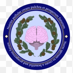 Theathenaproject - Brain png