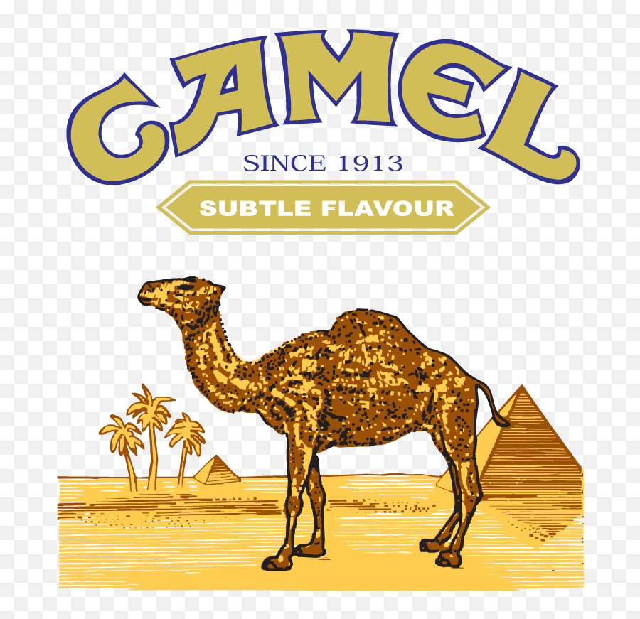 Camel Logo Food Logonoid - Camel Logo Png,Camel Logo