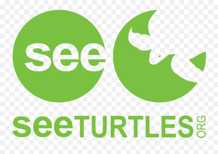 See Shell Instructions U2014 Turtles - See Turtles Logo Png,Turtle Shell Icon