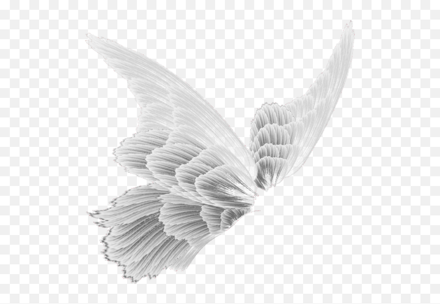 Fairy Wings Magic Stickers Transparent - White Fairy Wings Png,Fairy Transparent