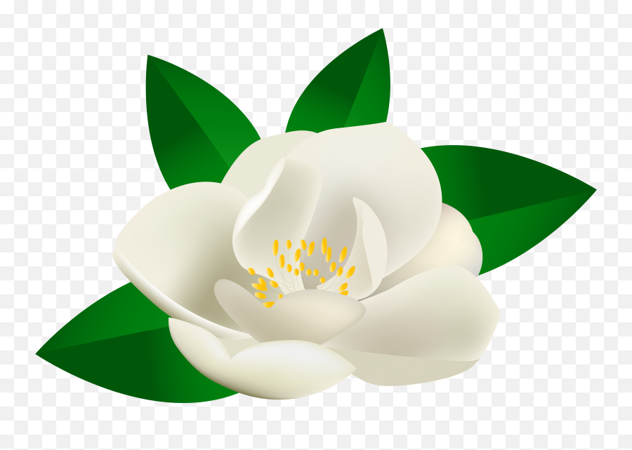Download Hd Rose Bush Flower Transparent Clip Art Image - Rosal Clipart Png,Rose Bush Png