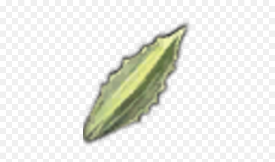 Wolfs Aloe Leaves - Gourd Png,Aloe Png