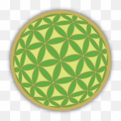 Life Green And Gold Sacred Geometry - Pronto Para Morar Png,Sacred Geometry Png