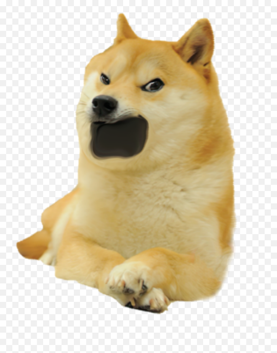 Yelling Doge Or Whatever The Fuck Is This Thing Png Dogelore - Doge Hug Cheems,The Thing Png