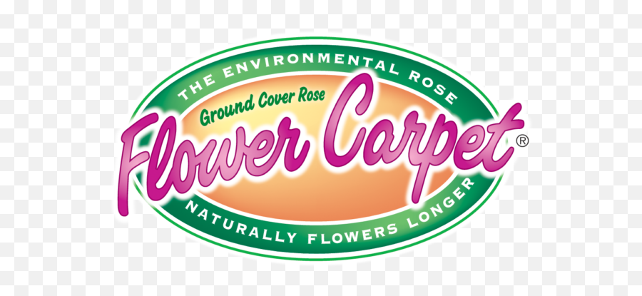Flower Carpet Roses Rosa Series - Anthony Flower Carpet Logo Png,Ground Cover Png