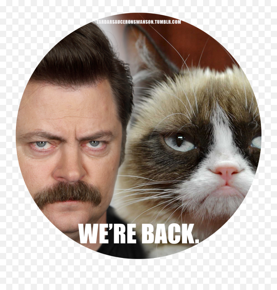 Download Hd Ron Swanson Grumpy Cat The Movie - Ron Swanson Grumpy Cat Png,Grumpy Cat Png