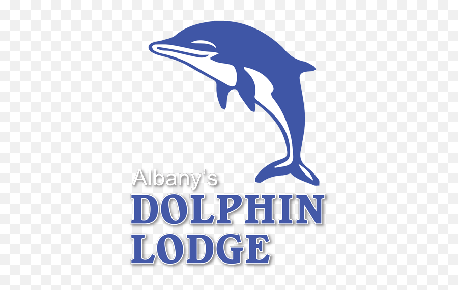 Albany Accommodation Apartments - Dolphin Lodge Logo Png,Dolphins Logo Png
