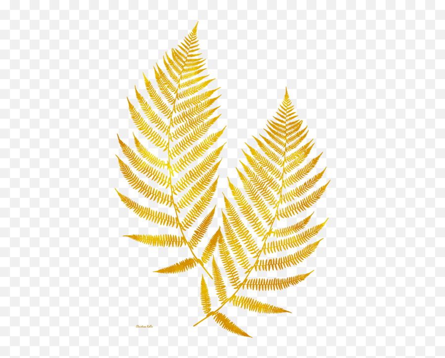 Gold Fern Leaf Art Kids T - Gold Leaf Png Transparent,Ferns Png