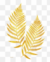 Gold Fern Leaf Art Kids T - Png Transparent