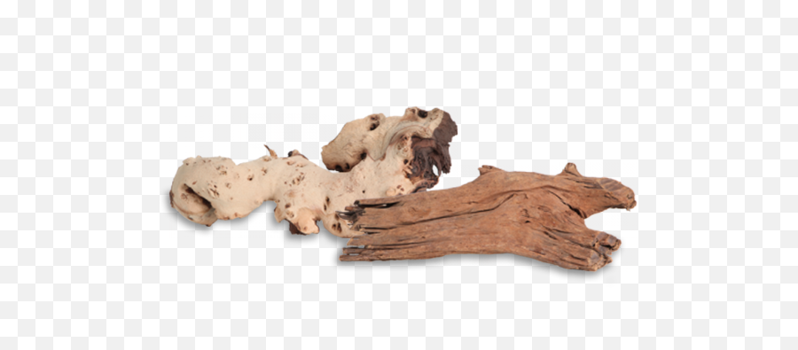 Fluval Faqs Driftwood - Driftwood Png,Driftwood Png