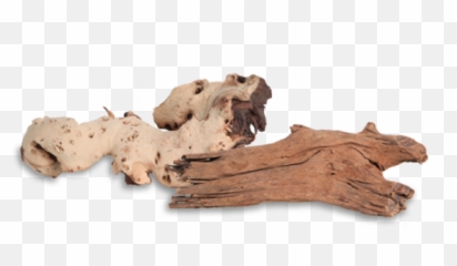 Fluval Faqs Driftwood - Driftwood Png,Driftwood Png