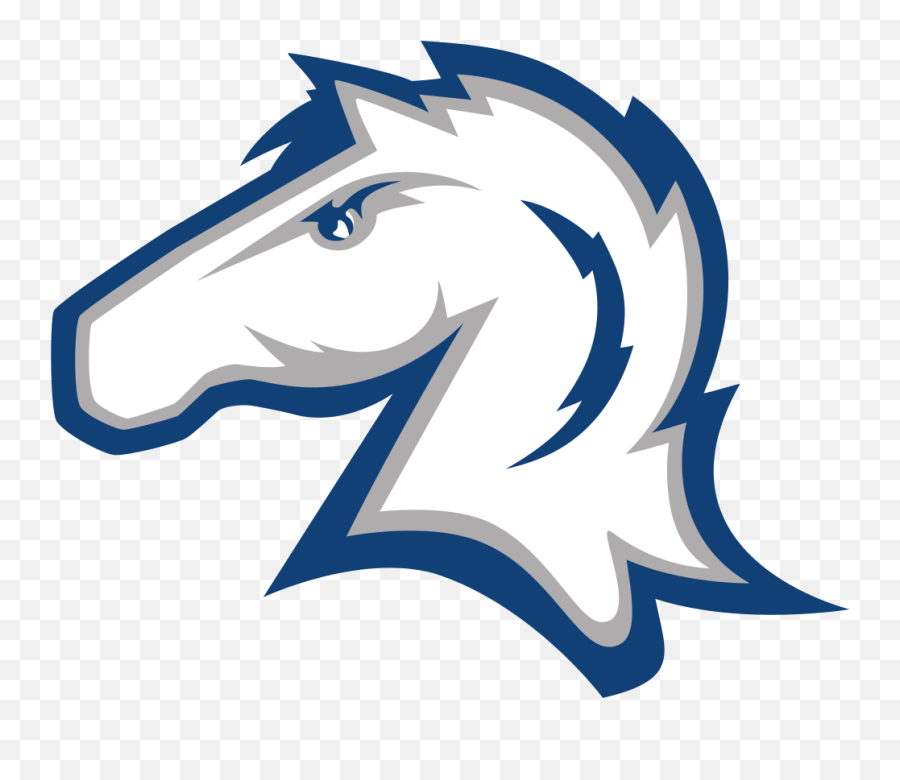 Hillsdale College Colors - Hillsdale College Chargers Png,Hillsdale College Logo