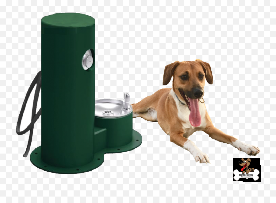 Dog Playground Equipment - Cylinder Png,Fountain Drink Png