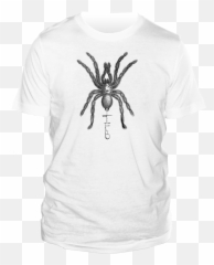 Hanging Spider - Wolf png
