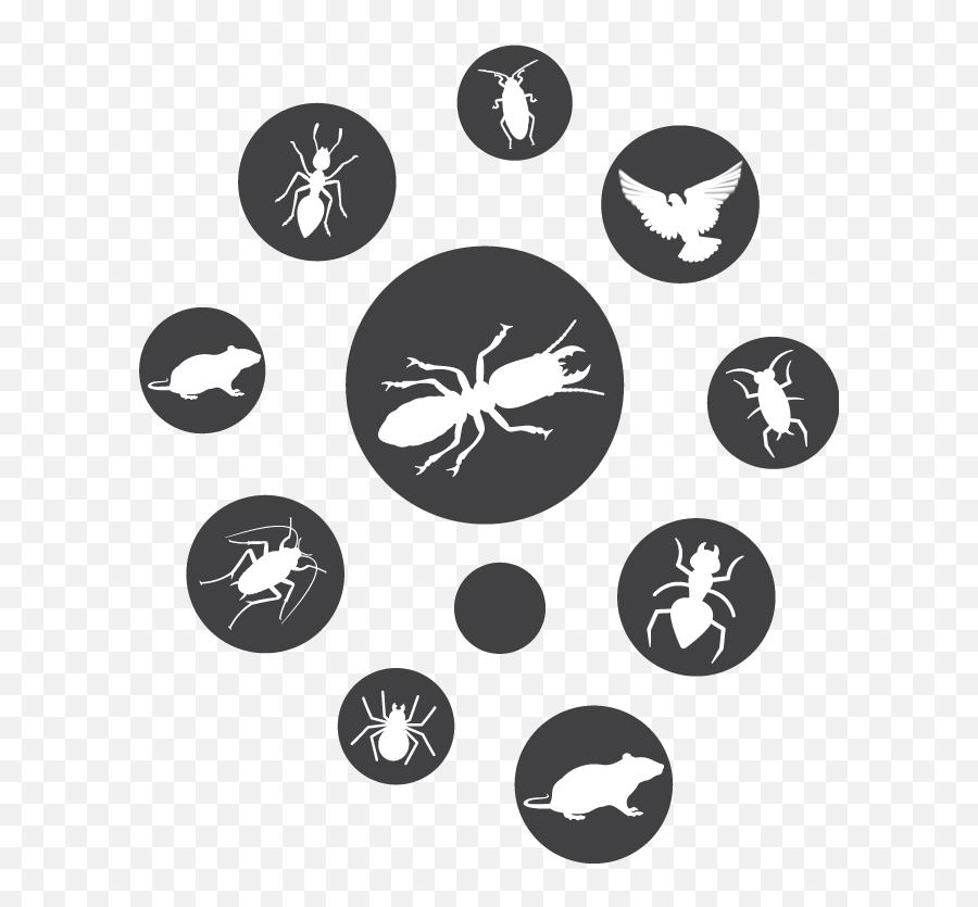 Download Hd Pest Circle Icons - Pest Control Icon Png Green Park,Control Icon