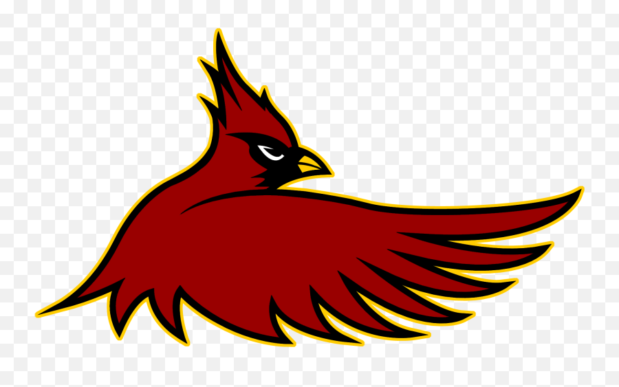 Download Free Cardinal Hayes Cardinals Clipart - Clipart Arizona Cardinals Logo Png,Cardinal Png