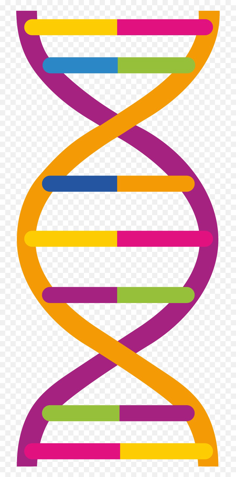 Dna Png Image With No Background - Dna Colorido Png,Dna Png
