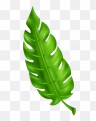 Download Exotic Green Leaf Clip Art Png Leaves Clipart