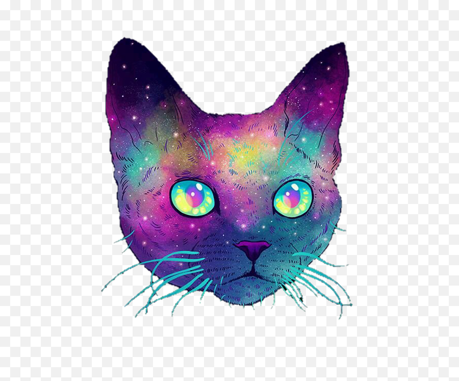 Cat Head Sticker Png Picture 1852919 - Transparent Background Cat Icons,Cat Head Png