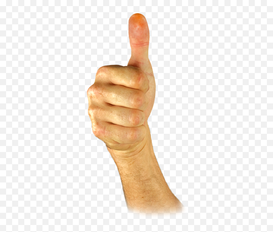 Youtube Thumbs Up Png - Bone,Youtube Thumbs Up Png