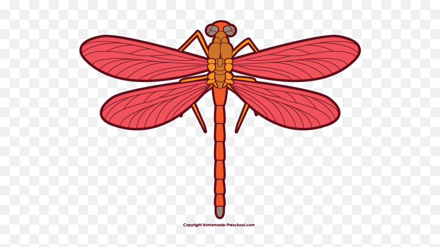 Dragonfly Clipart Png 4 Image - Dragonfly Cliparts,Dragonfly Transparent Background